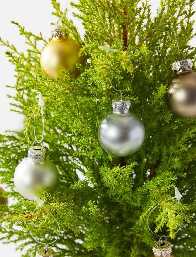 Neutral Ornament Set